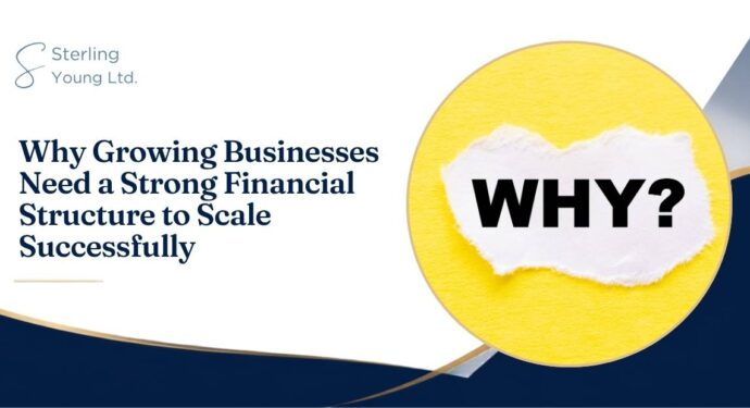 Why Growing Businesses Need a Strong Financial Structure to Scale Successfully